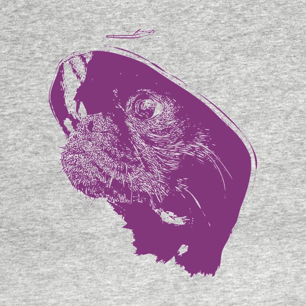 Purple dog face chihuahua by Ginstore
